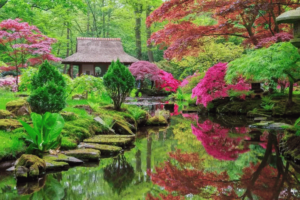 Creating a Zen Garden