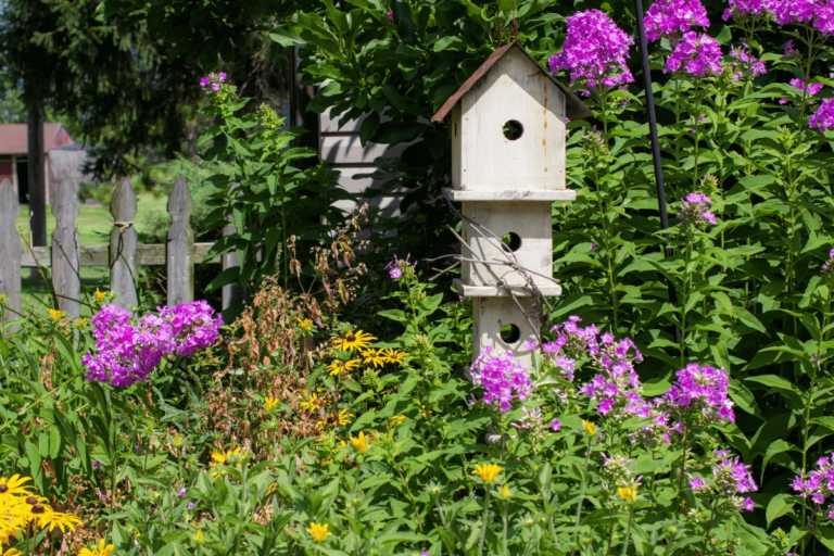 Pollinator Garden