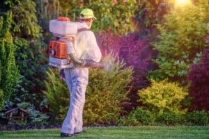 Eco-Friendly Pest Control Methods: Natural Solutions