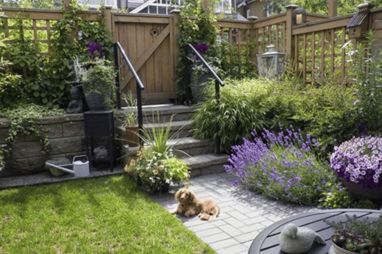 Designing a Wildlife-Friendly Garden