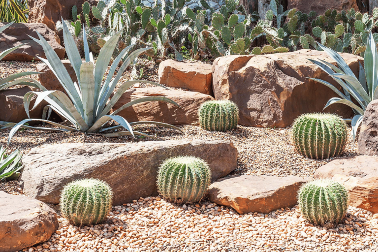 Benefits of Xeriscaping