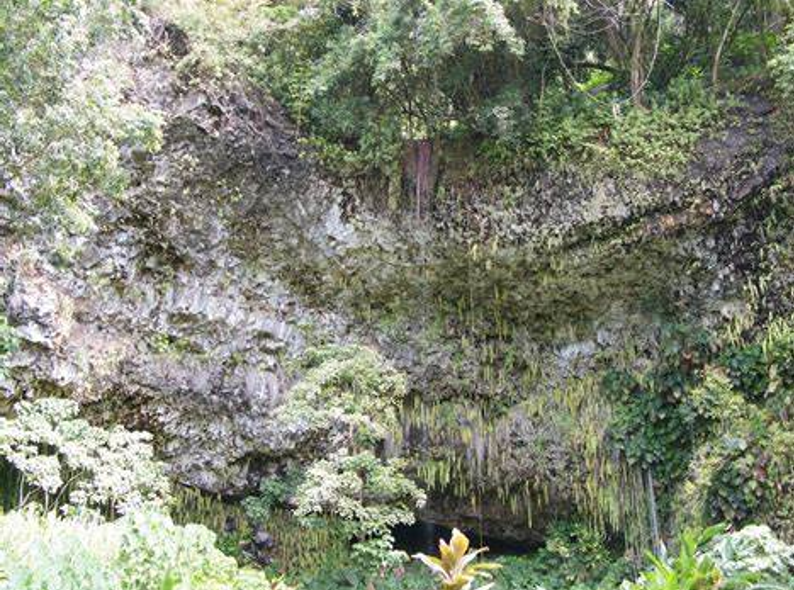 Fern Grotto