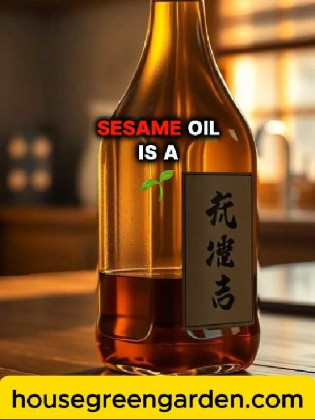 Sesame Oil Rich Flavor for Asian Recipes-Cover