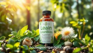 LeanBliss Supplement